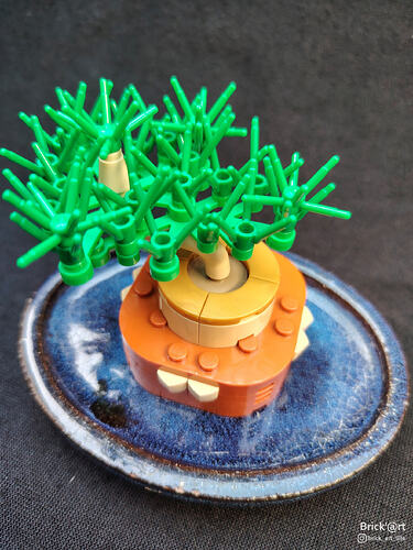Mini Bonsaï_2
