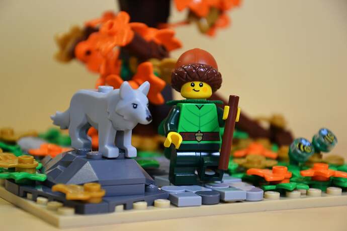 06_Promenons-nous dans les Bois_3