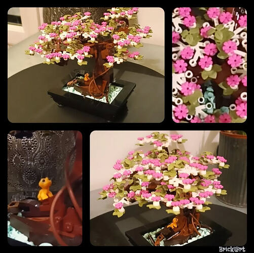 bonsai_alternatif_4