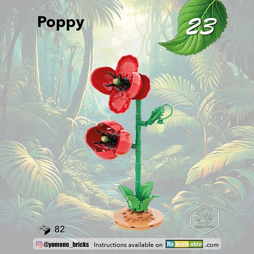 23-Coquelicot - Poppy01