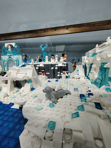 IMG_20260214_094539