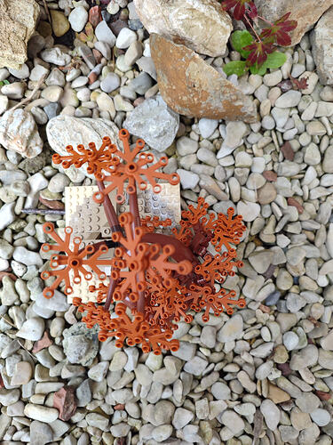 04_Arbre_enraciné dans la Roche_5