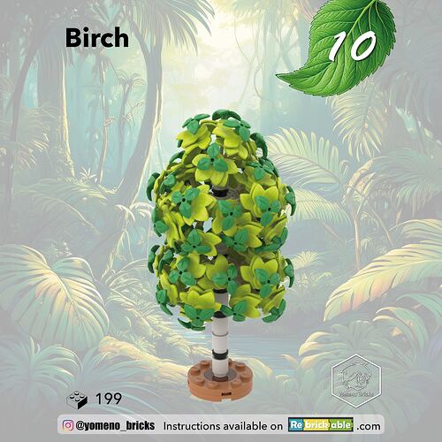 10-Bouleau - Birch1