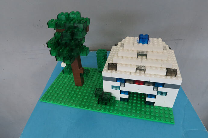 IMG0883