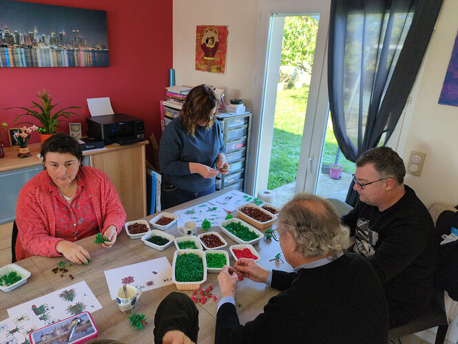 17638081925361646452396290728973