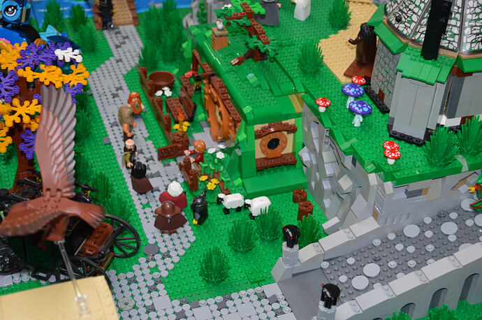 Tomtom et Sergio (26)