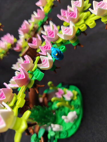 nature_de_printemps_5