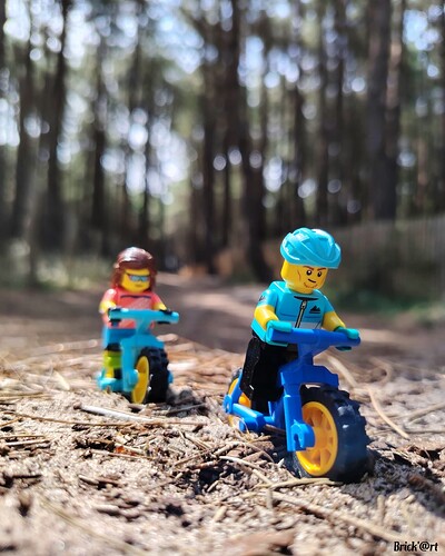 Rando VTT