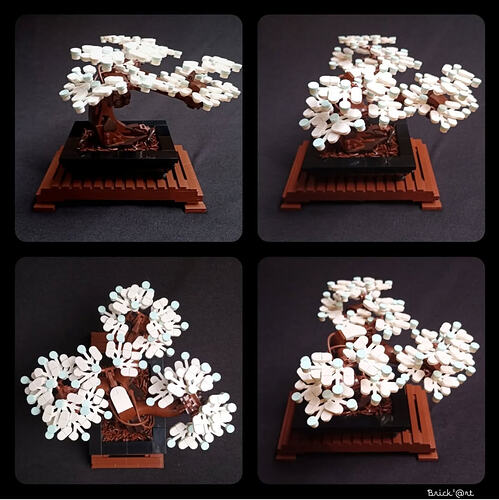 bonsai_alternatif_3