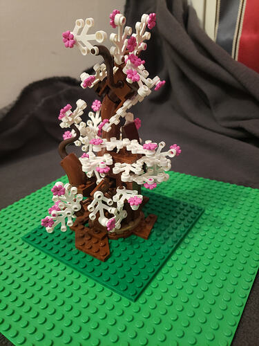 05_Entre l'Automne et le Printemps_2