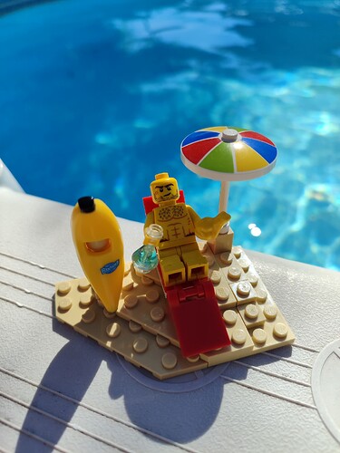35-Vacances au bord de la piscine à Gardincour