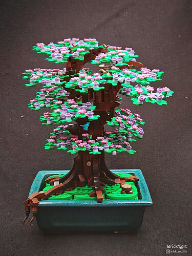 Bridgerton Bonsaï_1