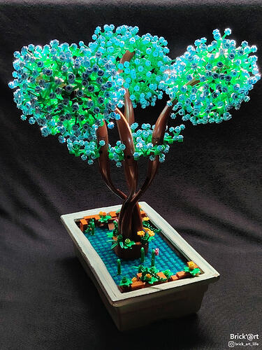 asiaticbonsai01