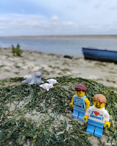 St-Valery en baie de Somme