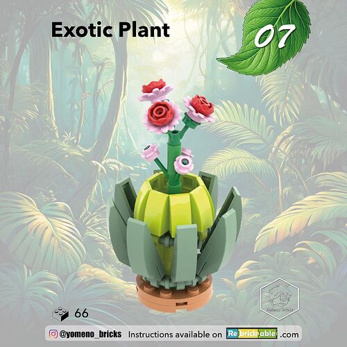 07-Plante Exotique - Exotic Plant1