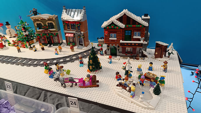 IMG_20251207_135534 - Copie