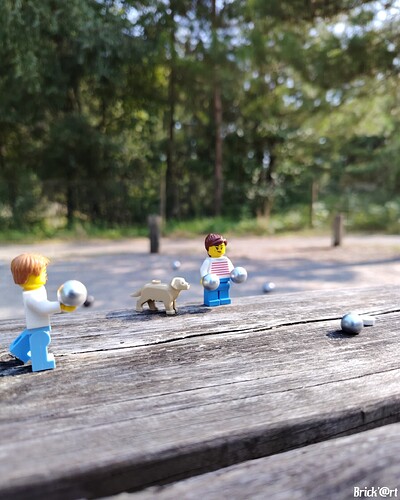 Une partie de pétanque