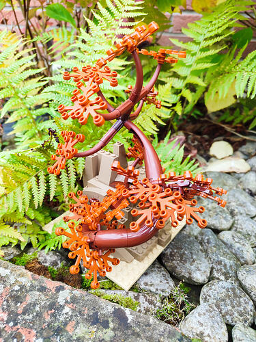 04_Arbre_enraciné dans la Roche_1