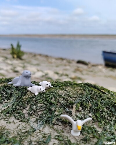 St-Valery en baie de Somme