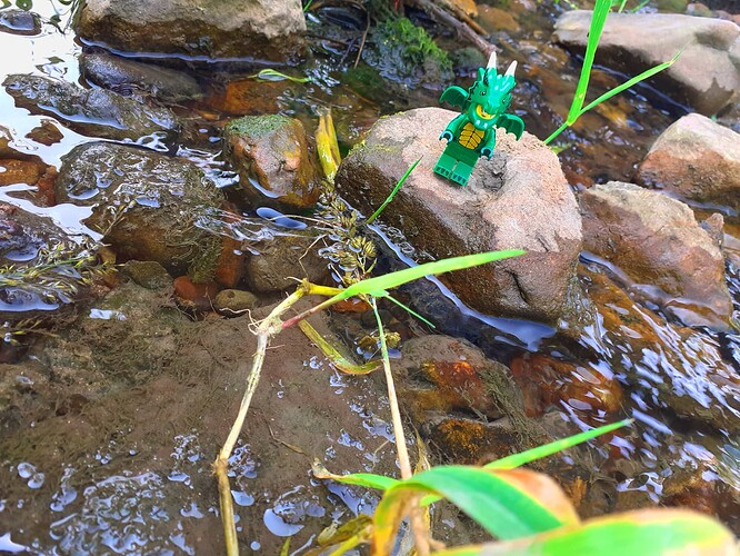 11-Dragon à la Rivière
