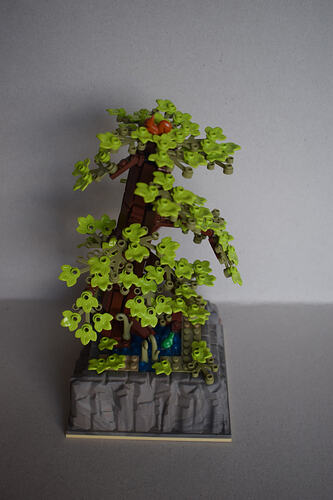 07_L’automne est là_3