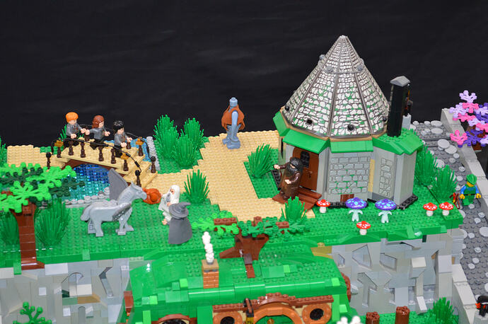 Tomtom et Sergio (21)