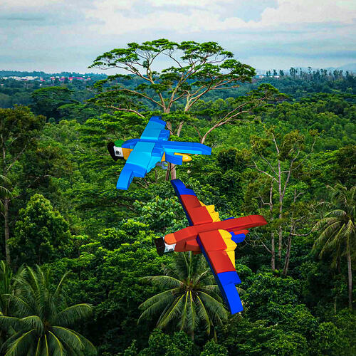 parrot in the sky