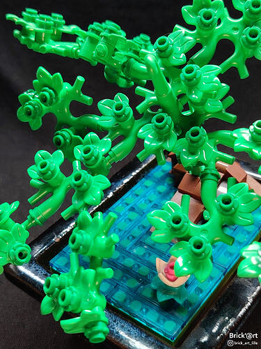 aquaticbonsai03