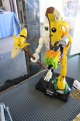 IMG_2525