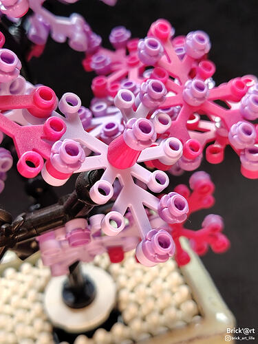 pinkybonsai03