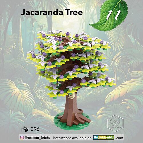 11-Jacaranda Tree01