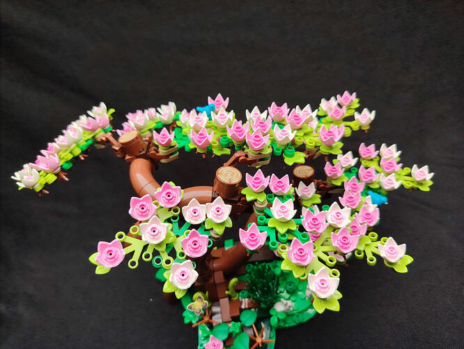 nature_de_printemps_4