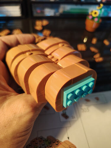 21370_Bag10_Build6