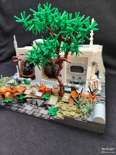 mandohome06