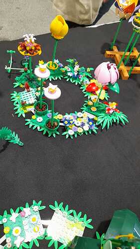 IMG-20260525-WA0049
