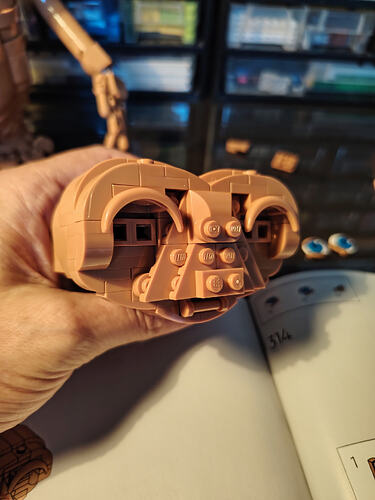 21370_Bag10_Build8