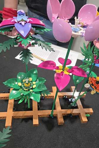 IMG-20260525-WA0017