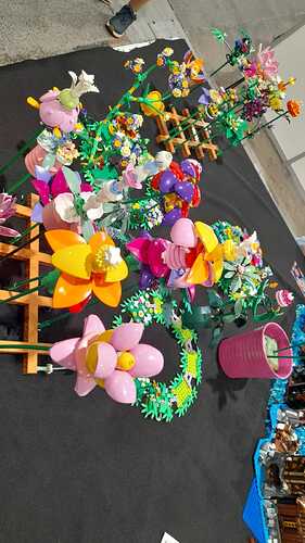 IMG-20260525-WA0047