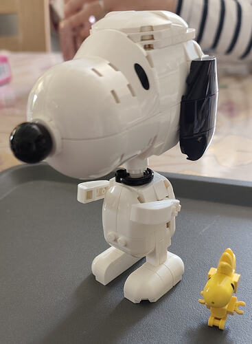 IMG_20260607_133928