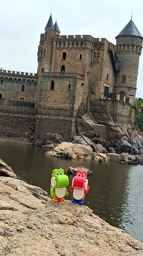 07_Visite_en_amoureux_bord_de_Loire_jolie_chateau par Francois D.